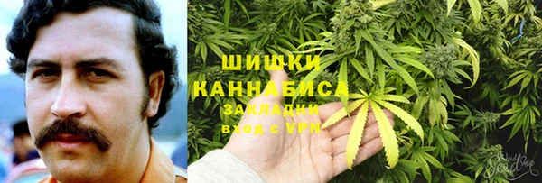 твердый Богородск