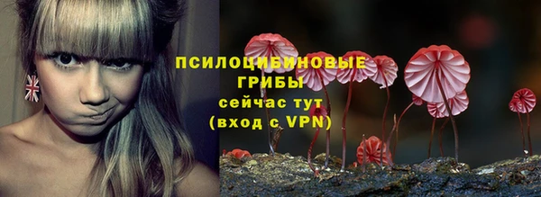 гашик Богородицк